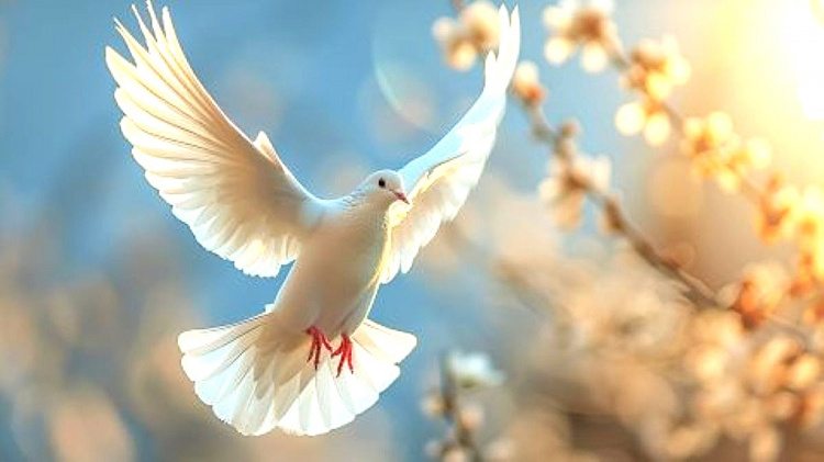 Завтра віряни святкують Стрітення: традиції, символіка та народні прикмети