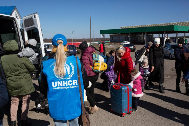 10,8 тисяч грн на кожного члена сім'ї: формування травневої черги на грошову допомогу для ВПО від управління ООН у справах біженців