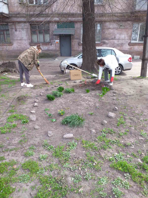 Кам'янське - місто небайдужих людей: мешканці наводять лад на прибудинкових територіях