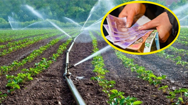 Тариф залежатиме від дощів: у Кам’янському розпочався сезон поливу городів