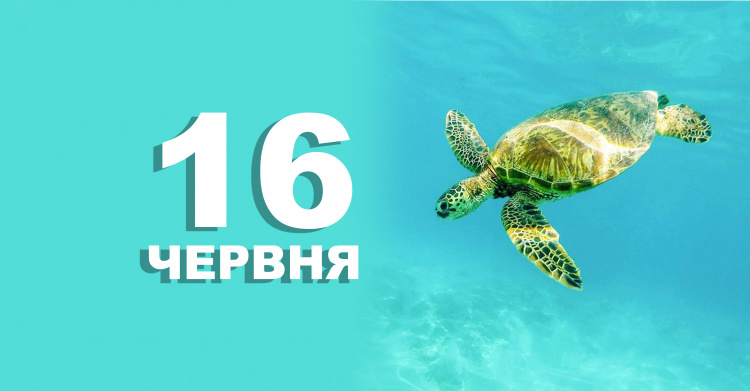 Сьогодні не можна лихословити і сваритися з рідними - прикмети 16 червня