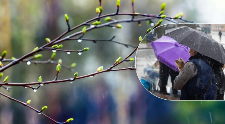 Тиждень парасольок: у Кам’янському очікується похолодання та опади