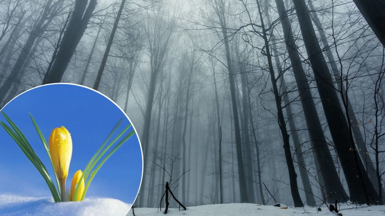 Від морозного піку до несподіваного тепла: детальний прогноз погоди в Кам’янському на кінець січня