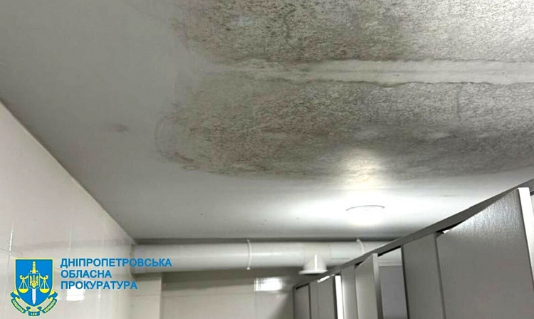 Замість безпечних сховищ - пліснява і корупція: посадовицю з Дніпропетровщини підозрюють у крадіжці мільйонів