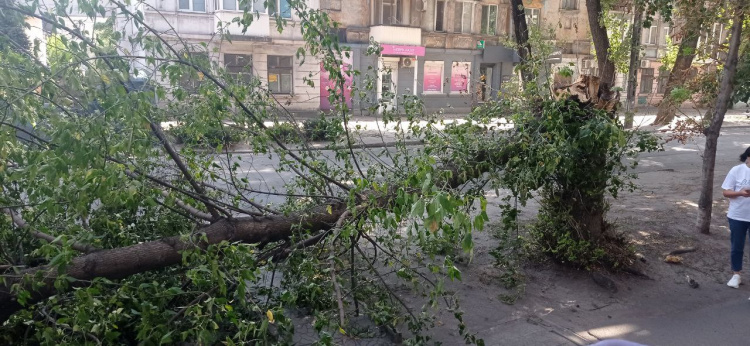 У Кам’янському районі вирує негода: дерева падають на авто, без світла залишилися декілька районів