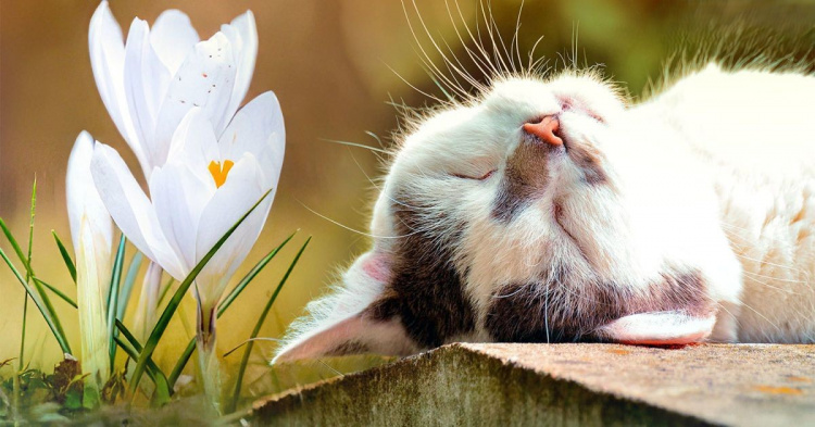 Остання неділя березня у Кам'янському: синоптики попередили про дощі та важливі зміни в часі