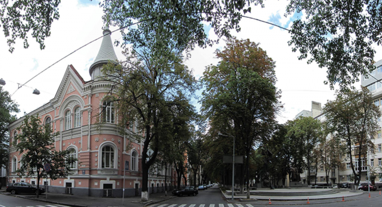 Стійкі міські дерева ростуть на вулицях індустріального Кам'янського.