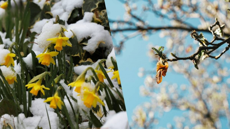Березневі температурні гойдалки: якою буде погода у Кам’янському з 16 по 20 березня