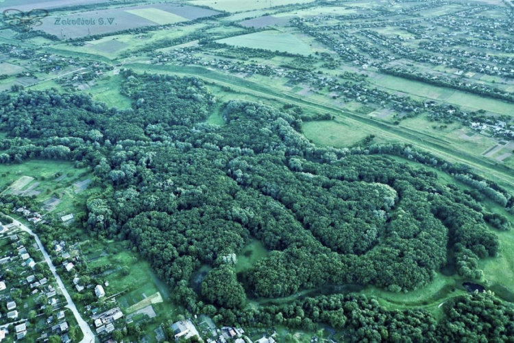 Римський ліс, що пережив століття: чим дивує урочище біля Верхньодніпровська