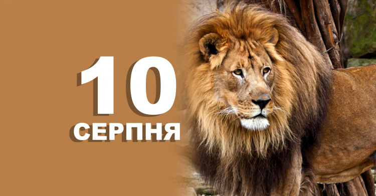 Сьогодні не слід лінуватися, інакше не буде грошей - традиції та прикмети 10 серпня
