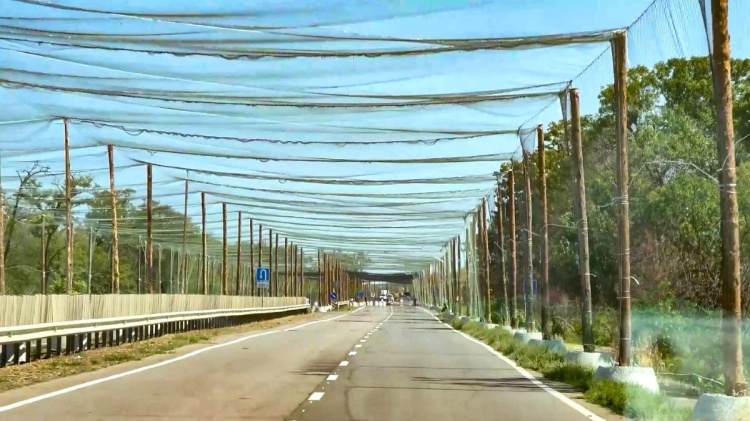 Дороги під захистом: прифронтова Дніпропетровщина отримає антидронові сітки від... рибалок