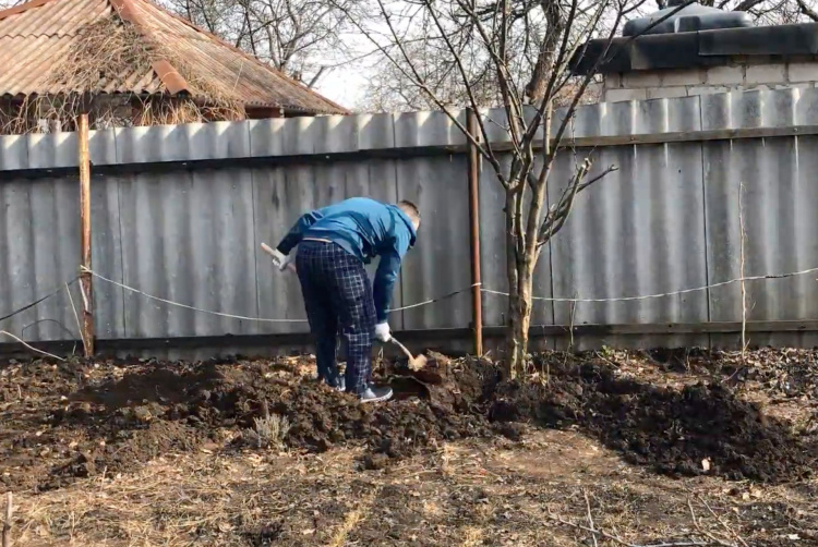 7 помилок на городі, які можуть залишити без урожаю: актуальні застереження для господарів Дніпропетровщини