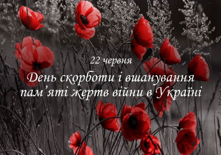 Сьогодні не можна висаджувати квіти та вбивати комарів - традиції та прикмети 22 червня