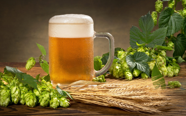 Домашнє пиво для лінивих: простий рецепт напою, який подарує вам смак пінної класики
